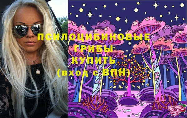 прущий лед Осташков