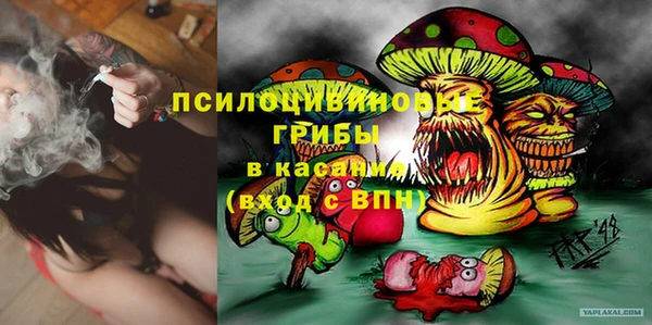гидра Белокуриха