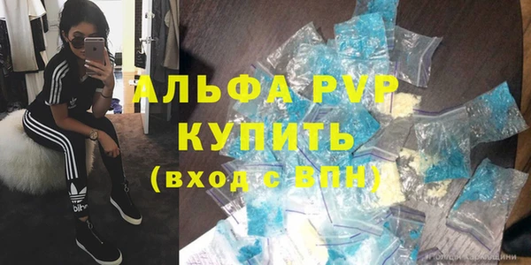 гидра Белокуриха