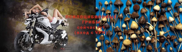 гидра Белокуриха